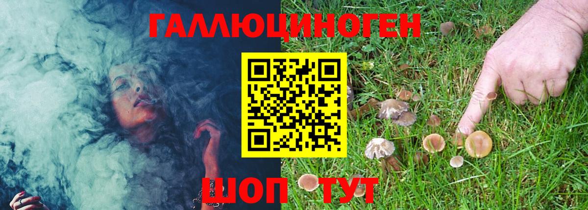 Воронеж  Псилоцибиновые грибы Psilocybe  Вход с VPN 